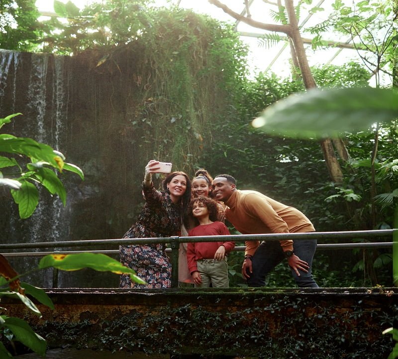 de Wever - kamers veluwe met kinderen